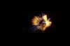 Fireworks - August 2007 photo 20